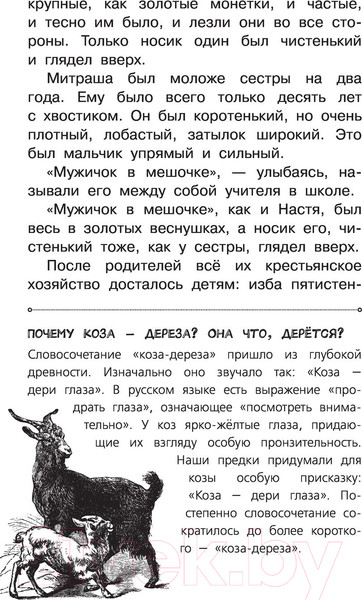 Изображение товара Книга АСТ Кладовая солнца (Пришвин М.)