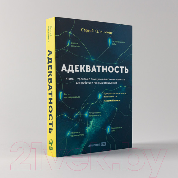 Изображение товара Книга Альпина Адекватность. Как видеть суть происходящего (Калиничев С.)