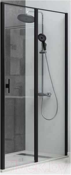 Изображение товара Душевая дверь Allen Brau Priority 3.31027.BBA / 294056