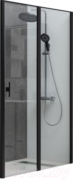 Изображение товара Душевая дверь Allen Brau Priority 3.31039.BBA / 294068