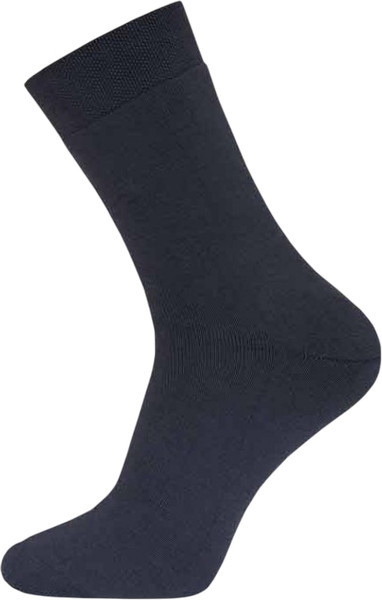 Изображение товара Носки Брестские Arctic 2420 рис. 000 (р.31, черный)