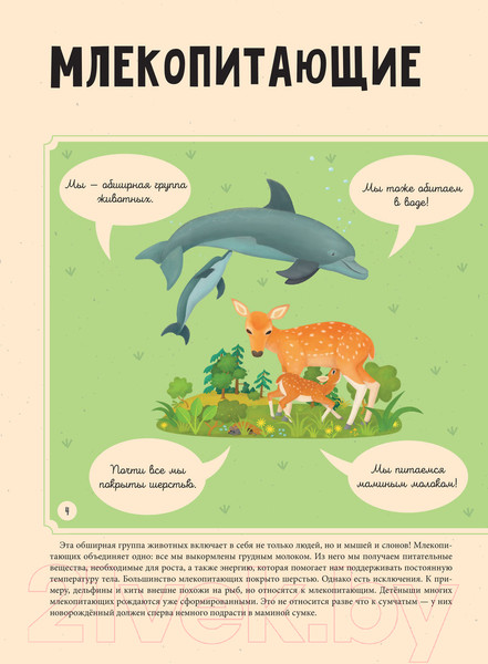 Изображение товара Энциклопедия АСТ Животные (Тума Т.)