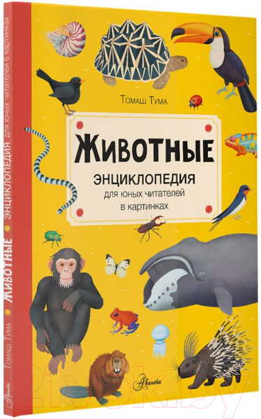 Изображение товара Энциклопедия АСТ Животные (Тума Т.)