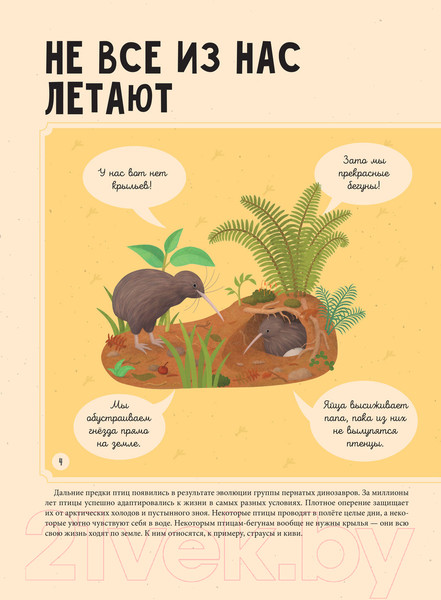 Изображение товара Энциклопедия АСТ Птицы (Тума Т.)