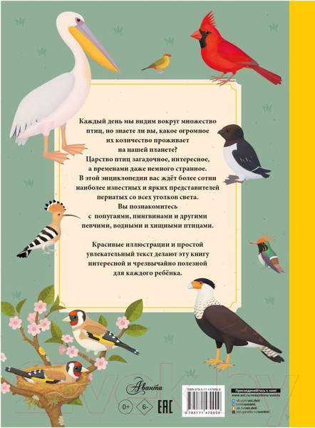 Изображение товара Энциклопедия АСТ Птицы (Тума Т.)