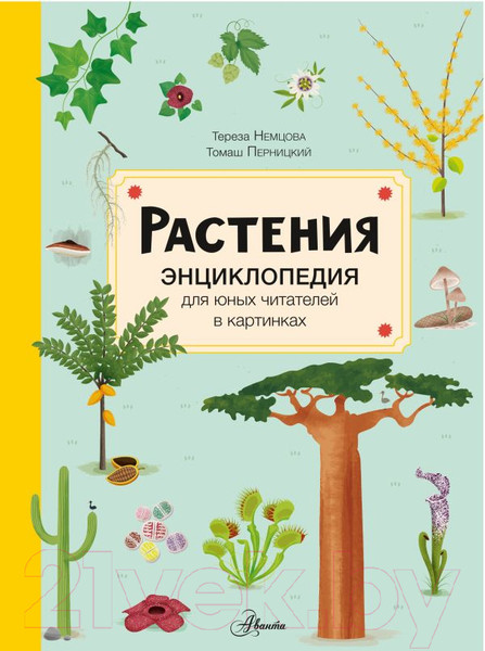 Изображение товара Энциклопедия АСТ Растения (Немцова Т.)
