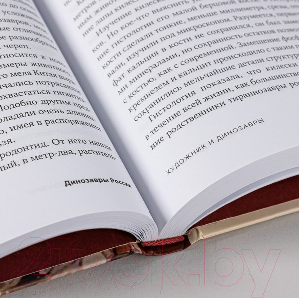 Изображение товара Книга Альпина Динозавры России. Прошлое, настоящее, будущее (Нелихов А.)