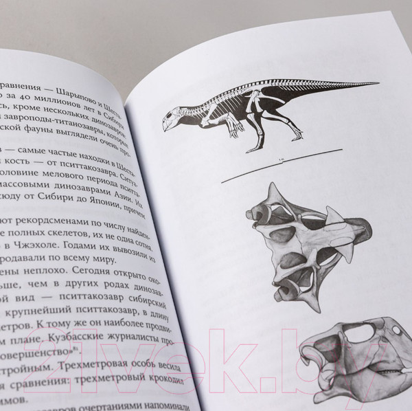 Изображение товара Книга Альпина Динозавры России. Прошлое, настоящее, будущее (Нелихов А.)