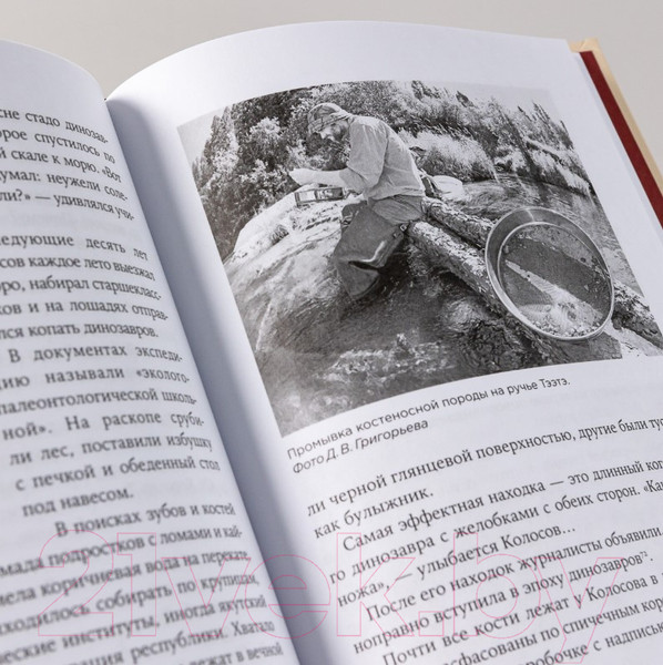 Изображение товара Книга Альпина Динозавры России. Прошлое, настоящее, будущее (Нелихов А.)