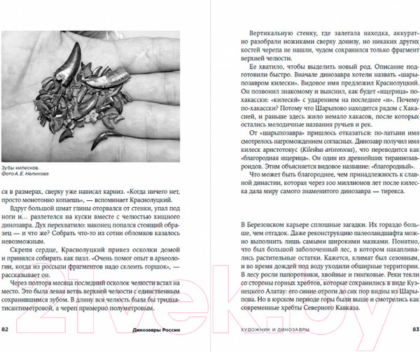 Изображение товара Книга Альпина Динозавры России. Прошлое, настоящее, будущее (Нелихов А.)