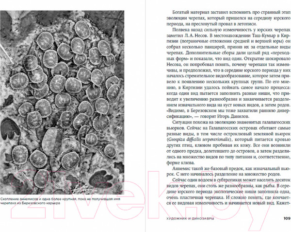 Изображение товара Книга Альпина Динозавры России. Прошлое, настоящее, будущее (Нелихов А.)