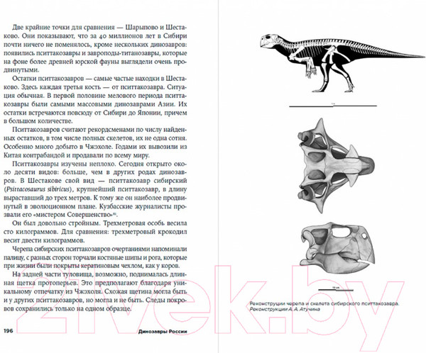 Изображение товара Книга Альпина Динозавры России. Прошлое, настоящее, будущее (Нелихов А.)