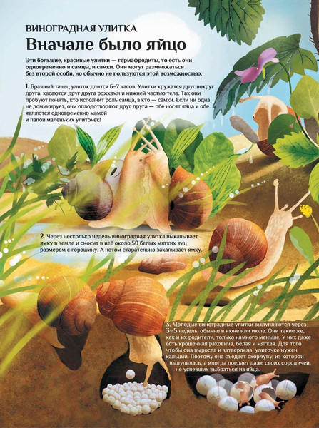 Изображение товара Энциклопедия Попурри Что и как растет (Фабисиньска Л.)