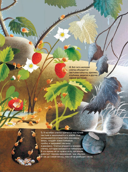 Изображение товара Энциклопедия Попурри Что и как растет (Фабисиньска Л.)