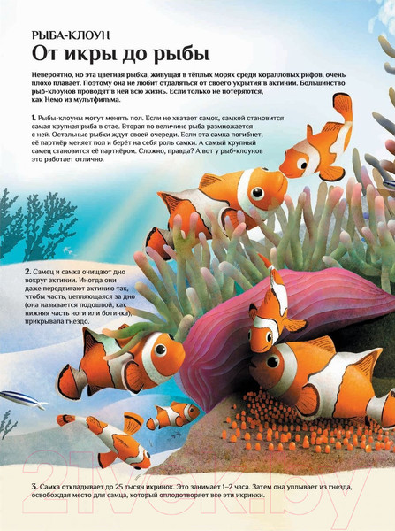 Изображение товара Энциклопедия Попурри Что и как растет (Фабисиньска Л.)