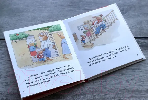 Изображение товара Художественная книга Эксмо Младшая сестренка (Ле Масне К.)