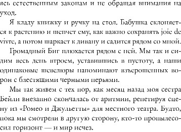 Изображение товара Книга Like Book Небо повсюду, твердая обложка (Нельсон Дженди)
