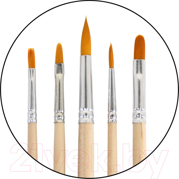Изображение товара Набор кистей Художественные материалы Мастер-1 Дымка C-6958 (5шт)