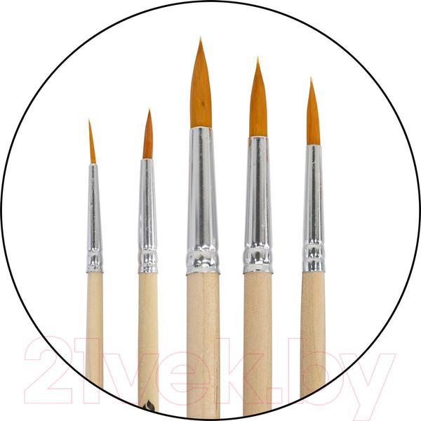 Изображение товара Набор кистей Художественные материалы Тинейджер С-6901 (5шт)