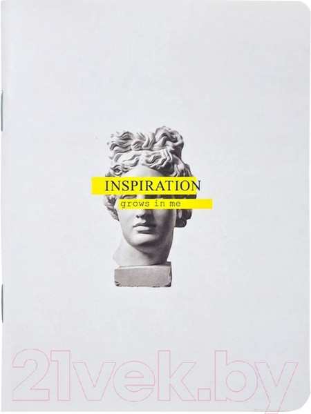 Изображение товара Записная книжка Be Smart Inspiration Аполлон / N2446 (серый)