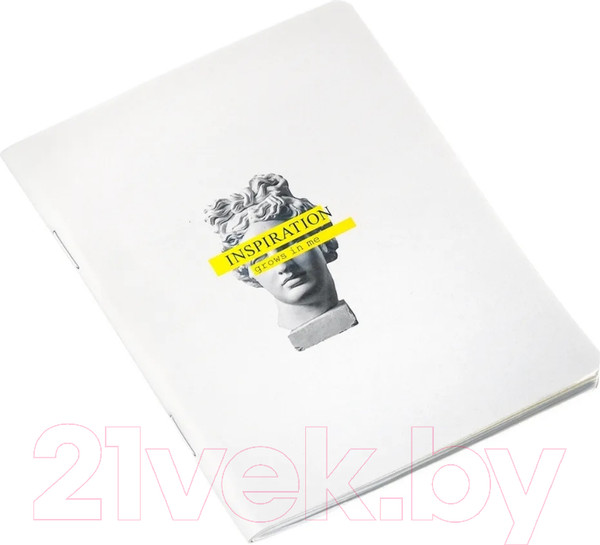 Изображение товара Записная книжка Be Smart Inspiration Аполлон / N2446 (серый)