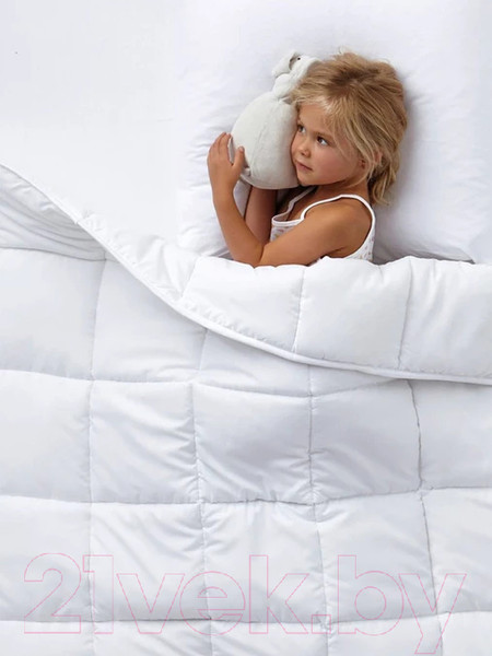 Изображение товара Одеяло GoodNight Comfort 200x220 / OLM300ev (лебяжий пух/микрофибра)