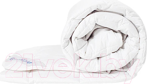 Изображение товара Одеяло GoodNight Organic 172x205 / OOT300dv (овечья шерсть/тик)