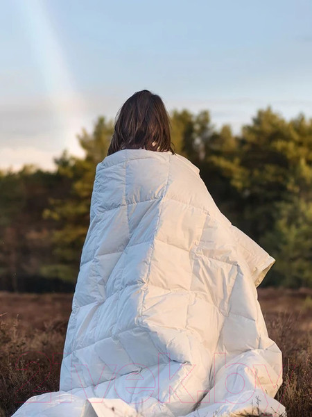 Изображение товара Одеяло GoodNight Organic 172x205 / OOT300dv (овечья шерсть/тик)