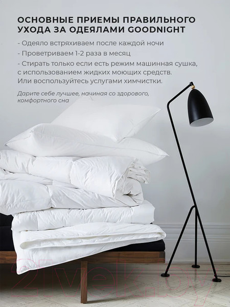 Изображение товара Одеяло GoodNight Organic 172x205 / OOT300dv (овечья шерсть/тик)