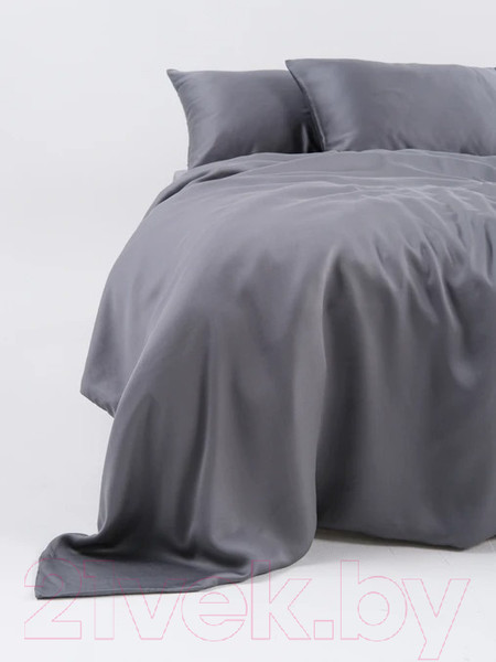 Изображение товара Комплект постельного белья GoodNight Essential 1.5 / 368191 (графит)