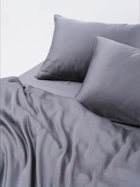Изображение товара Комплект постельного белья GoodNight Essential 1.5 / 368191 (графит)