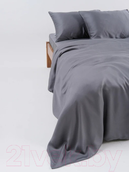 Изображение товара Комплект постельного белья GoodNight Essential 1.5 / 368191 (графит)