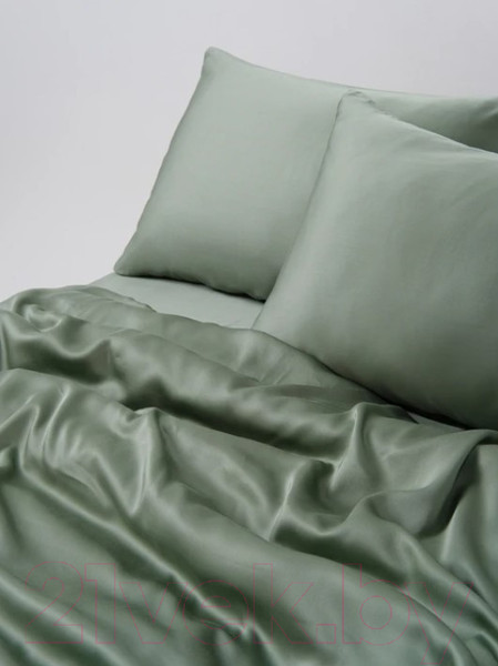 Изображение товара Комплект постельного белья GoodNight Essential 1.5 / 368194 (зеленый)
