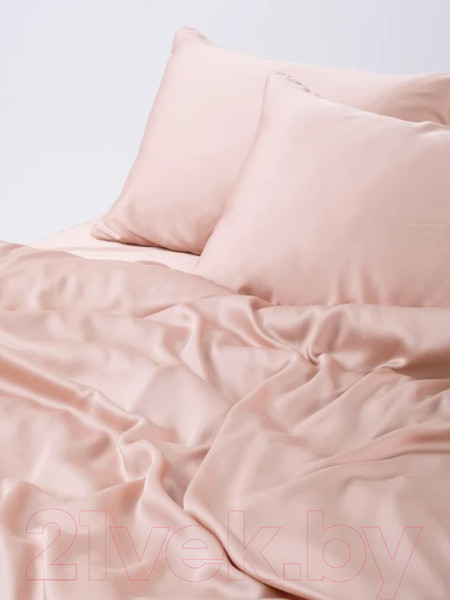 Изображение товара Комплект постельного белья GoodNight Essential 2 / 368196 (бежевый)