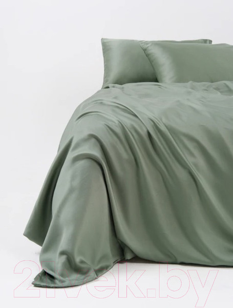 Изображение товара Комплект постельного белья GoodNight Essential 2 / 368200 (зеленый)