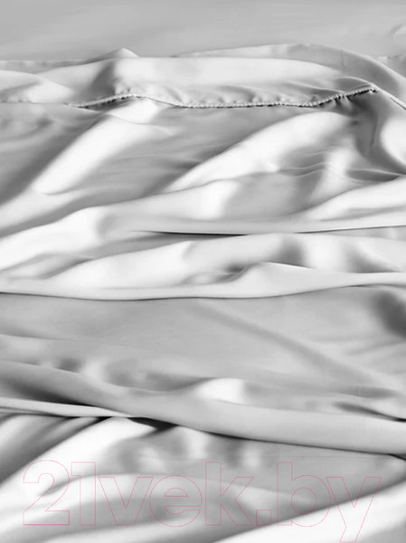 Изображение товара Комплект постельного белья GoodNight Essential 2 / 368195 (светло-серый)