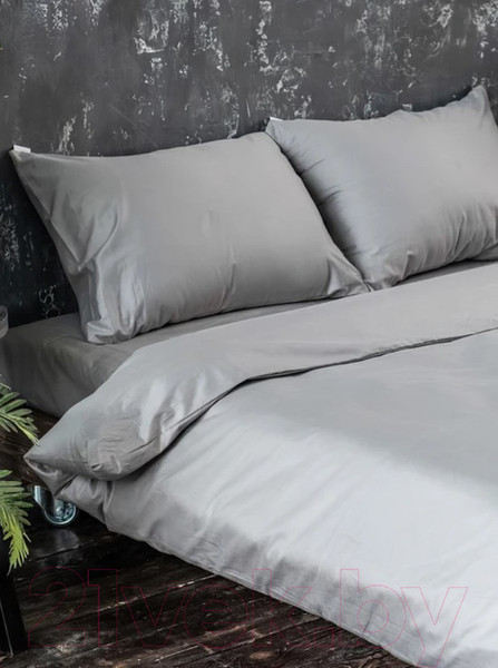 Изображение товара Комплект постельного белья GoodNight Essential Дуэт / 368201 (светло-серый)
