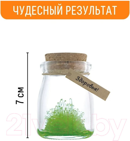 Изображение товара Набор для выращивания кристаллов Волшебный кристалл Кристалл с пожеланием Здоровья / k2