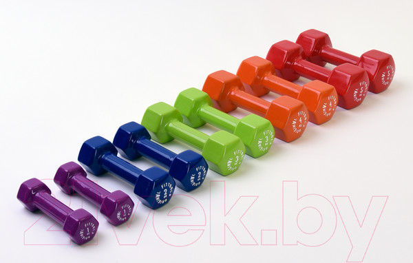 Изображение товара Набор гантелей Original FitTools FT-VWB-SET30