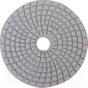 Изображение товара Шлифовальный круг Sturm! 9012-W100-3000