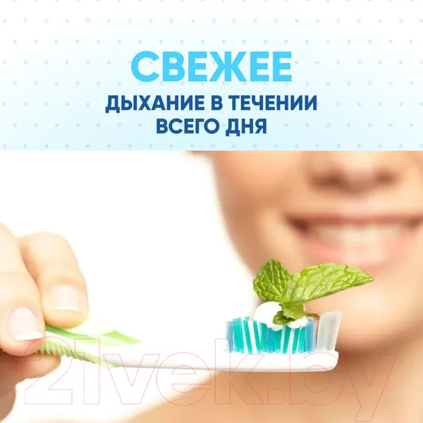 Изображение товара Зубная паста Lion Systema со вкусом ледяной мяты (120г)