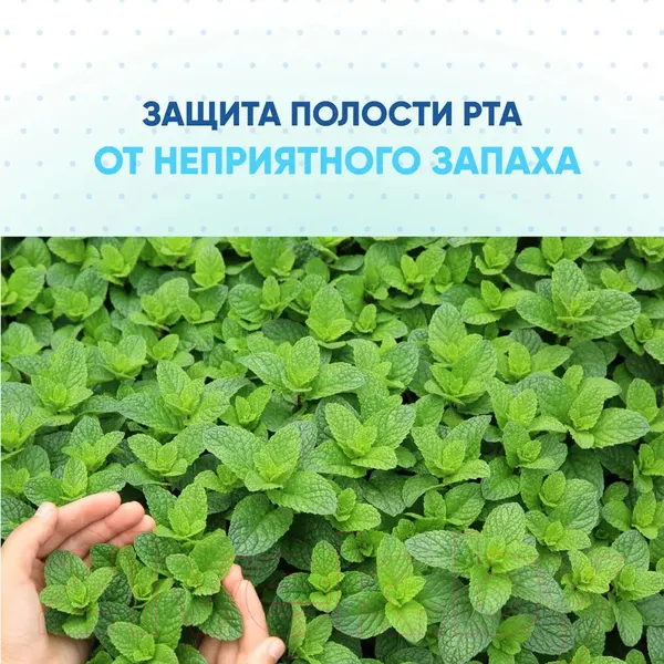 Изображение товара Зубная паста Lion Systema со вкусом ледяной мяты (120г)
