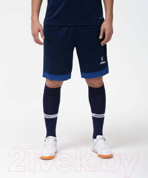 Изображение товара Гетры футбольные Jogel Camp Advanced Socks / JC1GA0322.Z4 (р-р 39-42, темно-синий/белый)