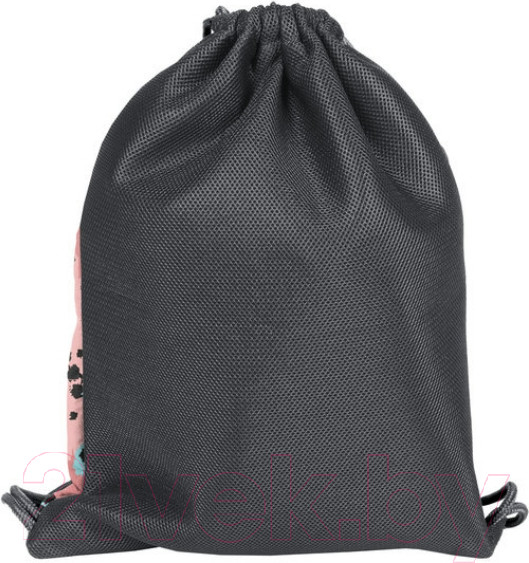 Изображение товара Мешок для обуви Paso PPTI21-713