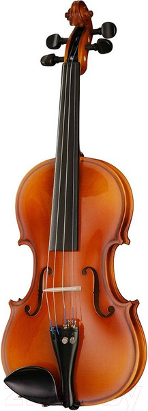 Изображение товара Скрипка Hora V100-4/4