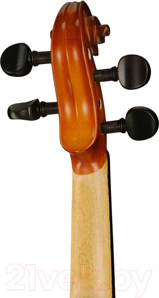 Изображение товара Скрипка Hora V100-4/4