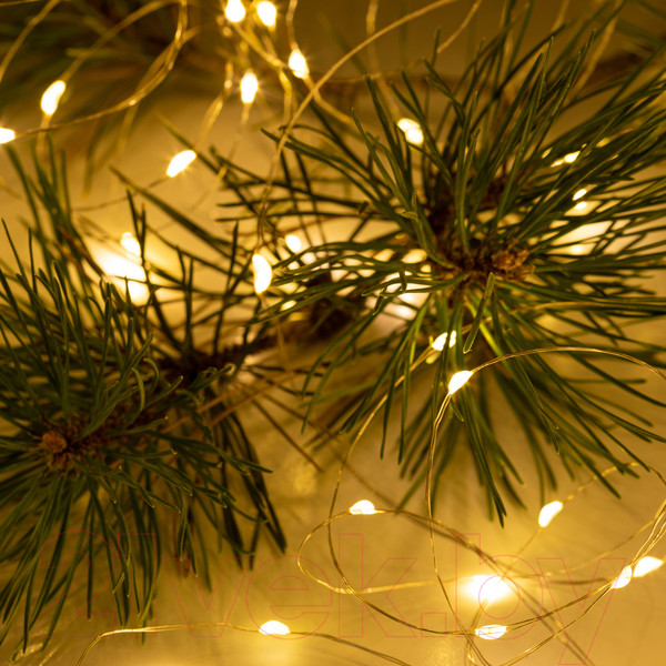 Изображение товара Световой занавес ЭРА ЕGNIG-ZW / Б0055999