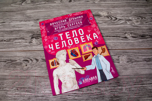 Изображение товара Энциклопедия АСТ Тело человека (Сергеев И., Дубынин В.)