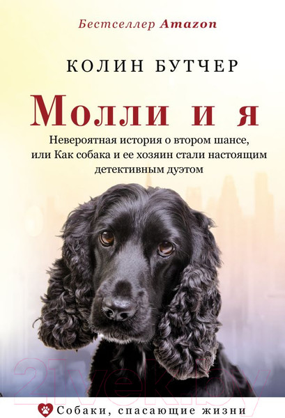 Изображение товара Книга АСТ Молли и я (Бутчер К.)
