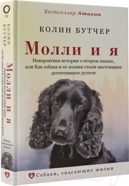 Изображение товара Книга АСТ Молли и я (Бутчер К.)